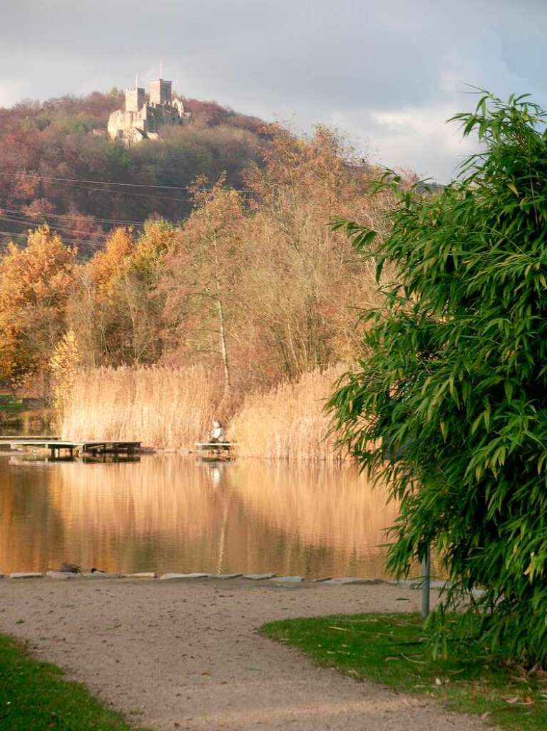 "Ich liebe diesen Platz, weil ich hier im Grttpark am See in Lrrach eine Ruheoase zum Relaxen und Wohlfhlen gefunden habe. Mit Blick aufs Rttler Schloss kann ich meinen Gedanken zu jeder Jahreszeit freien Lauf lassen."  (Wolfgang Pomp)