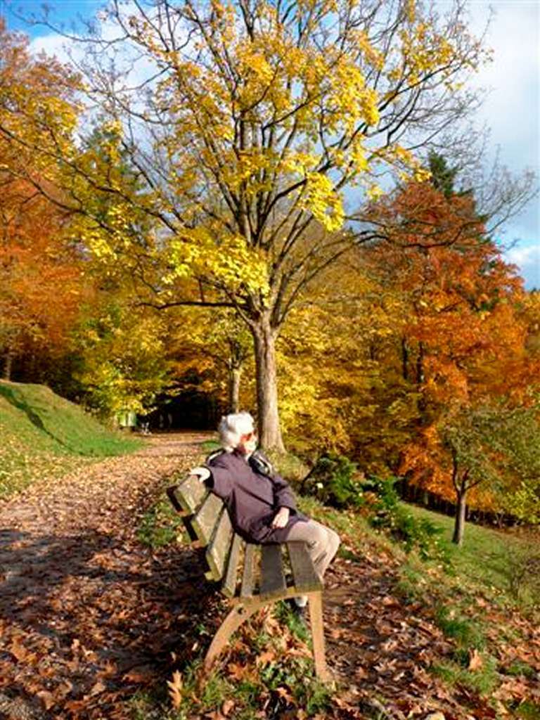 "Wege oberhalb Freiburg- Herdern um das Panoramahotel herum. Wunderbare Aussicht auf Freiburg und seinen Mnsterturm , umgeben von Laubbumen in prachtvoller Herbstfrbung" (Erika Kilchling)