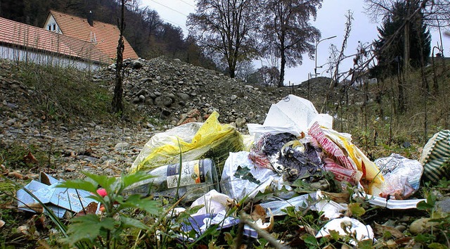 &#8222;Schandfleck&#8220;: Bauschutt u...sschusssitzung kritisch angesprochen.   | Foto: Andr Hnig