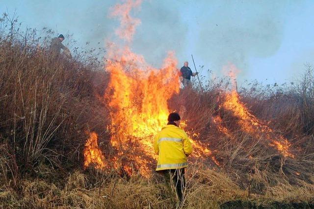 Bschungspflege durch Feuer