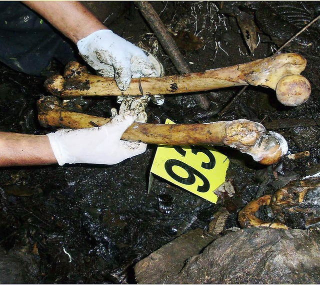 Diese menschlichen Knochen haben die E...einem Wald im Zentrum Perus gefunden.   | Foto: dpa