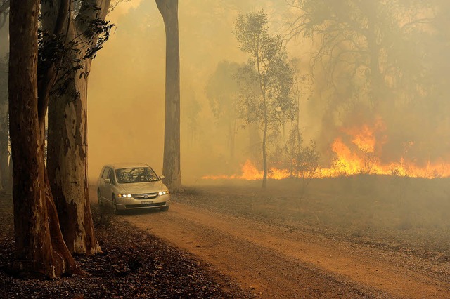   | Foto: AFP