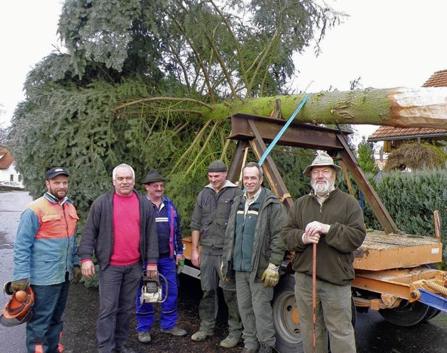 Der Hfinger Christbaum 2009, eine 16 ...tag  im Wohngebiet Rappenschneller.     | Foto: Beathalter