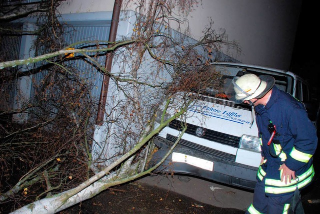 Sturmschden in Lahr  | Foto: Axel Fleig