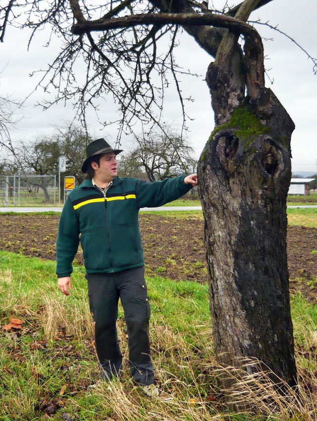 Rheinauen-Rancher Alexander Schindler ... die koflchen auf Ruster Gemarkung.   | Foto: Adelbert Mutz