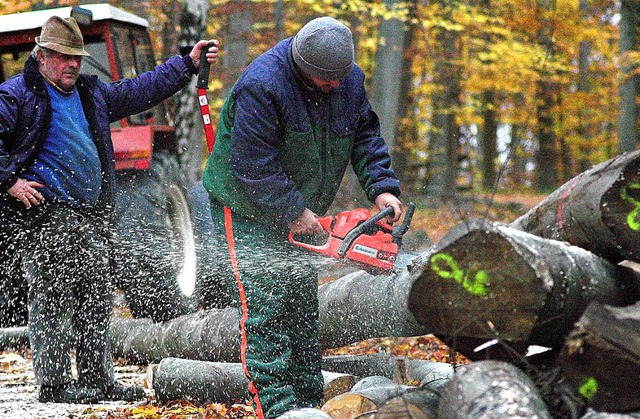 1430 Festmeter Holz sollen nchstes Ja...cher  Stadtwald  eingeschlagen werden.  | Foto: sigfried gollrad