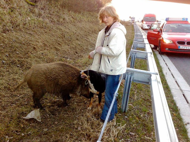 Tier-Freundschaft: Bei der Autobahn hi...ziergnger&#8220; fest, bis Hilfe kam.  | Foto: BZ