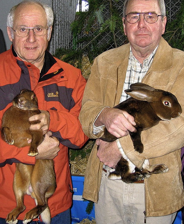 Karl-Heinz Meyer und  Hans Meier (von ...it ihren  &#8222;Castor-Rexen&#8220;.   | Foto: grziwa