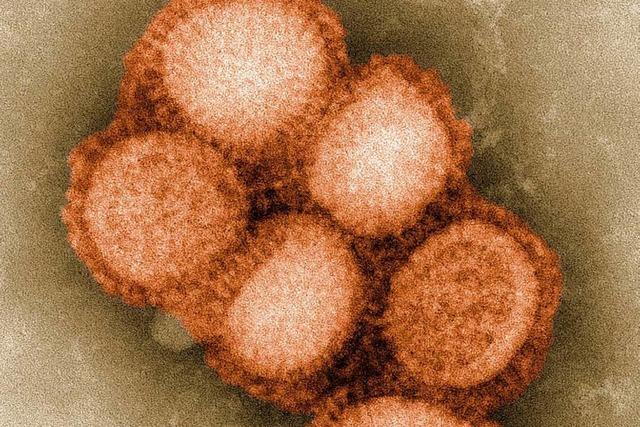 Erster Todesfall durch Schweinegrippe in der Ortenau