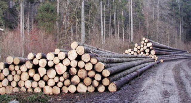 25000 Festmeter Holz sollen im kommend... Lffinger Forst eingeschlagen werden.  | Foto: Privat