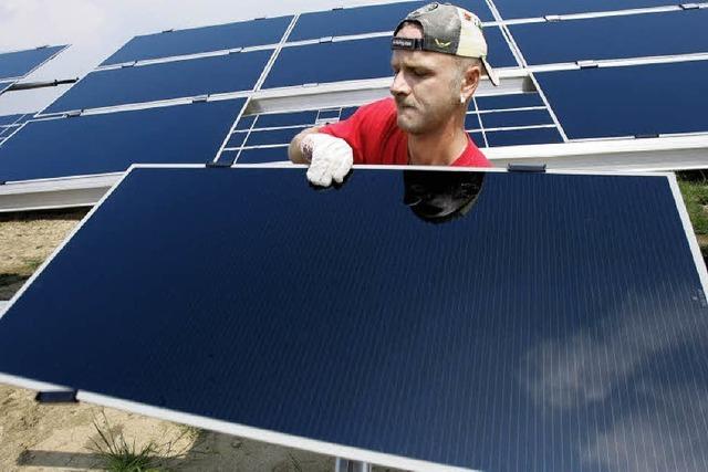 Die Solarbranche floriert in der Krise