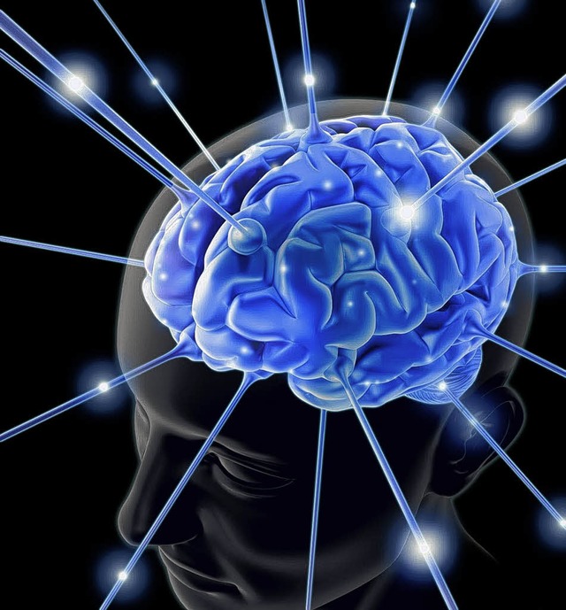 Neurobiologen  erforschen auch die Hirnfunktionen.    | Foto: Fotolia
