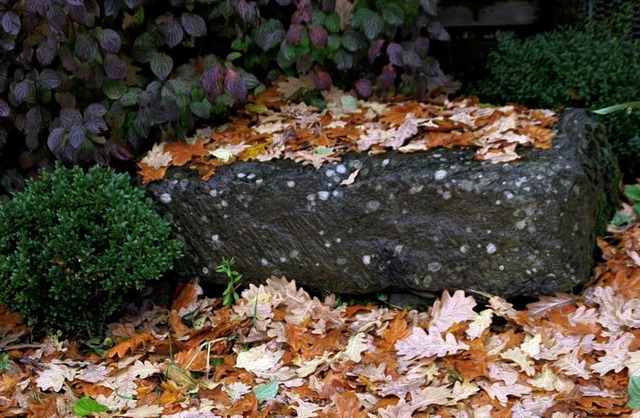 Die letzten Bltter sind gefallen, der Herbst ist vorbei.   | Foto: erika sieberts