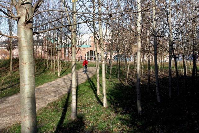 Neuer Wald in Straburg muss wieder gefllt werden