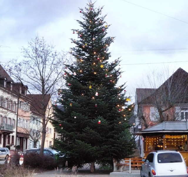 In einem Garten ist er gewachsen, jetzt schmckt er den Marktplatz in Sulzburg.   | Foto: privat