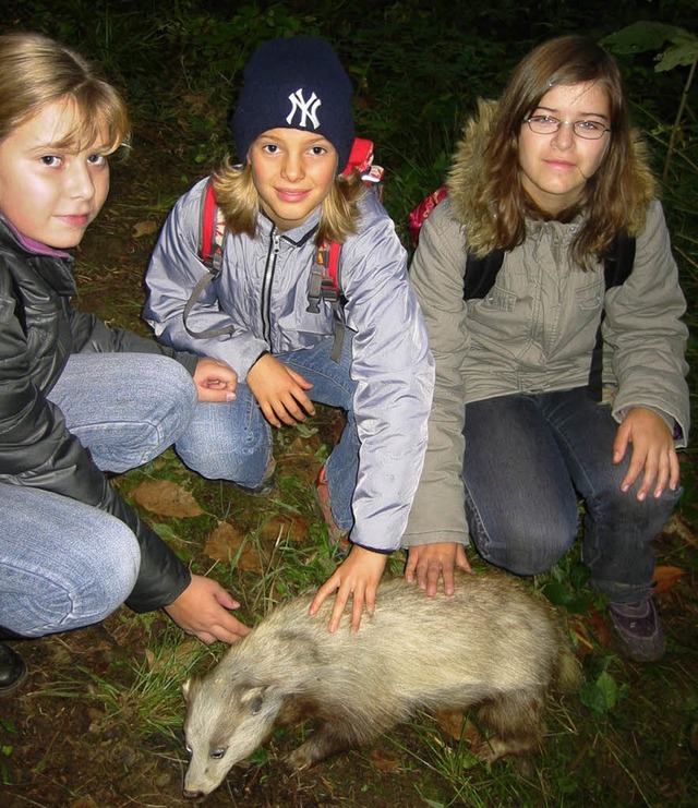 Schler der 6. Klassen der Johanniter-...gestopfte Tiere  wie dieser Dachs.      | Foto: Veranstalter