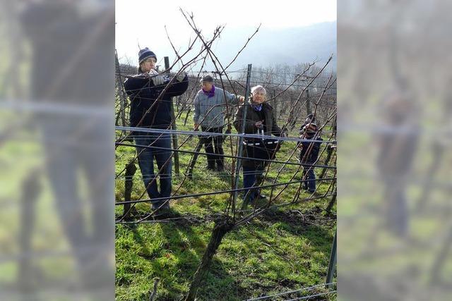 Ein Wein, der Babys Gutes tun soll