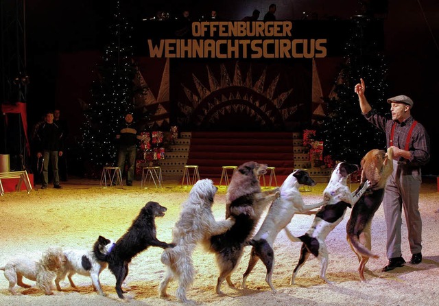 Bitte festhalten! Eine bunte Show mit ...217;s im Offenburger Weihnachtscircus.  | Foto: Peter Heck