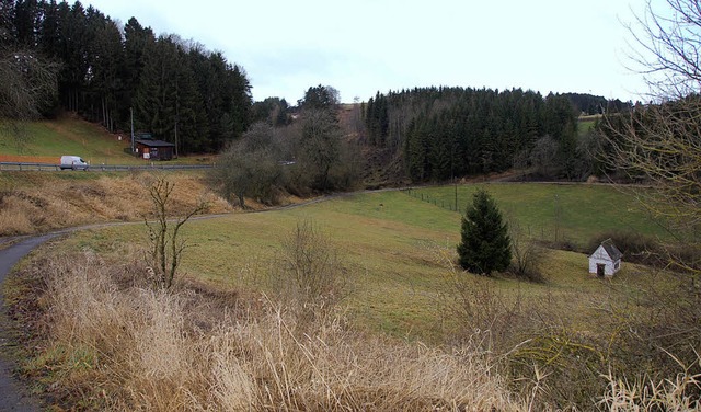 Das Wasserschutzgebiet Gnsweiherquell...sbeschluss im Gemeinderat aufgehoben.   | Foto: Juliane Khnemund