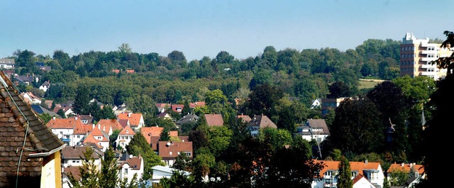 Das geplante Baugebiet Hosenmatten liegt oberhalb der jetzigen Bebauung.  | Foto: Michael Bamberger