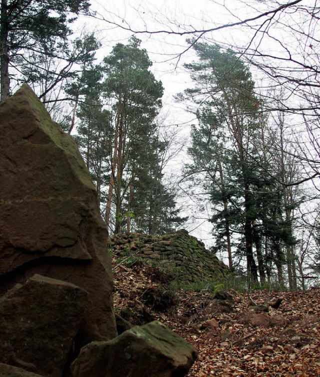 Nur bei genauem Hinsehen zu erkennen: ...  Heidenpyramide bei  Ettenheimmnster  | Foto: Heiko Neumann