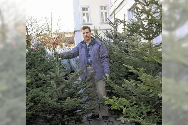 Das nadelige Angebot ist vielfltig