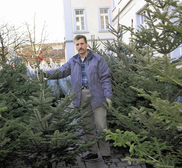 Fr Christbaumhndler wie Reinhold Bc...el warten rund 200 Bume auf Kufer.    | Foto: Huber