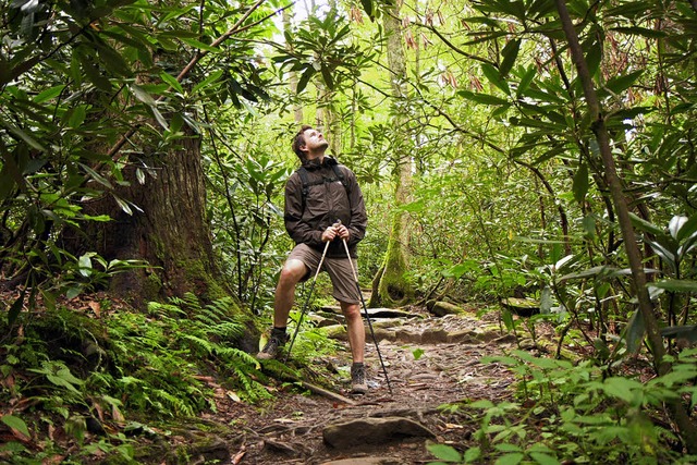 Keine Chance auf ein Entrinnen: unterw...ten Wldern der Great Smoky Mountains   | Foto: Diana Haas