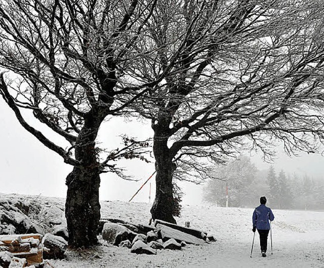 Erste Spaziergnge im Schnee: in Oberried-Hofsgrund.  | Foto: dpa