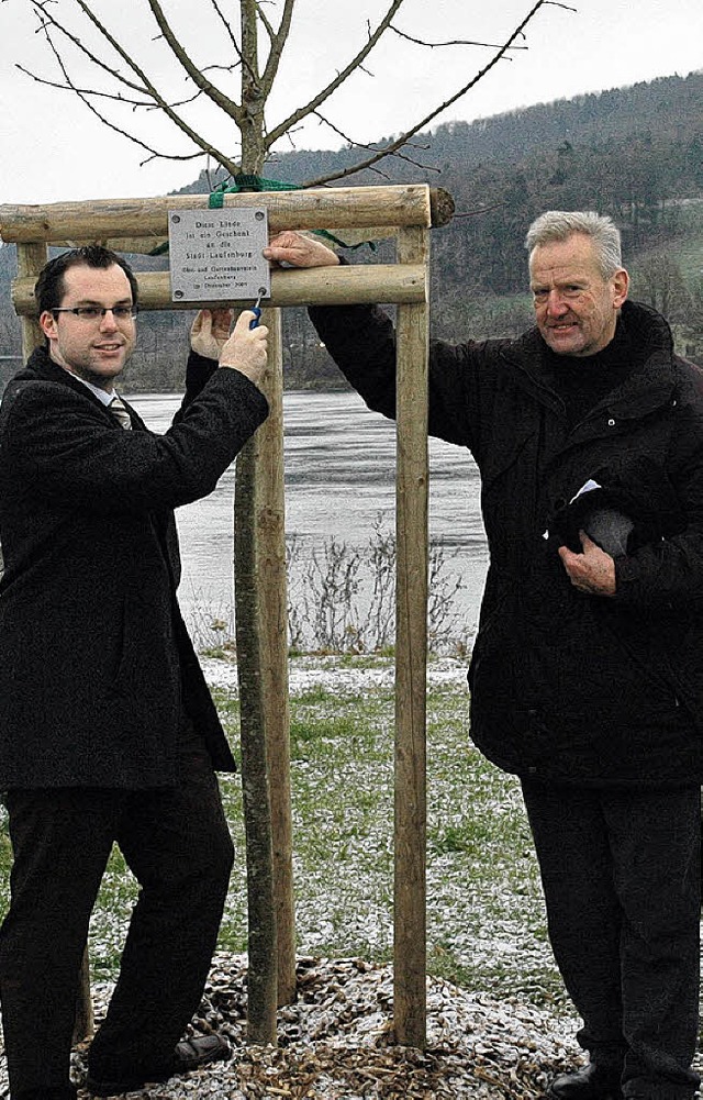 Der richtige Baum am richtigen Ort:  D...inde an Brgermeister Ulrich Krieger.   | Foto: BRIGITTE CHYMO