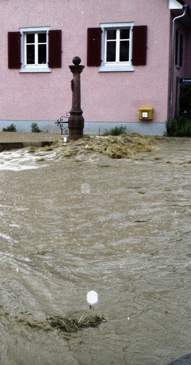 Einziger grer Ausgabeposten im Haush...sserschutz, hier ein Foto von  Laufen   | Foto: Privat