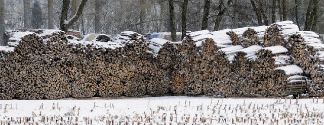 Frostig ist es  in diesen Tagen in der...rrender Klte wohlige Wrme verspren.  | Foto: Siegfried Gollrad