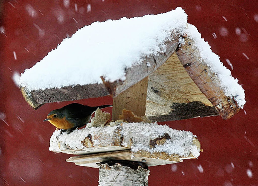Ungemtlich kann es im deutschen  Wint... Dach ber dem Kopf manchmal willkomme  | Foto: dpa/dpaweb