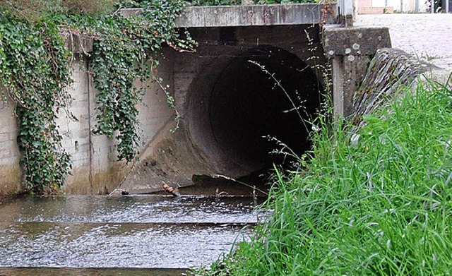 Verdohlter Bachlauf  | Foto: BZ