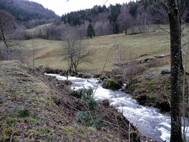 Jetzt reichen die Wiesen wieder bis zum Talbach.   | Foto: Barbara Odrich-Rees