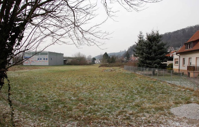 Bebauungsgebiet Neumatt in Hauingen, w...werden Entwicklungsflchen gesichert.   | Foto: Trenz