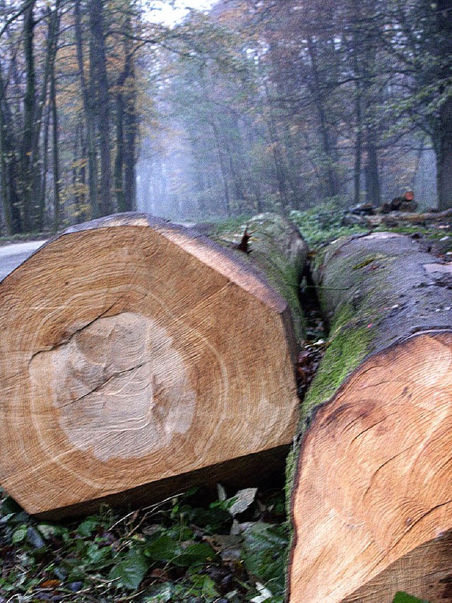 Holz kann bares Geld sein.   | Foto: fk