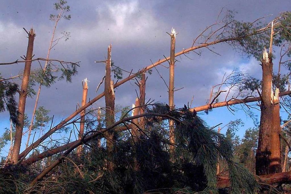 Sturm Lothar richtete 1999 im Schwarzwald und im Elsass gewaltige Schäden an. (Foto: DAMIEN MEYER)