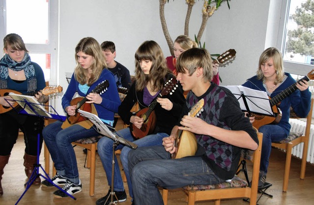 Der Mandolinen- und Gitarrenverein Kiechlinsbergen   | Foto: vitt