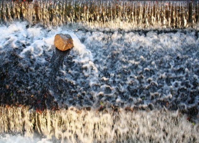 Der Anfang ist gemacht: Die ersten Ma...sserschutz sind auf den Weg gebracht.   | Foto: Michael Raab