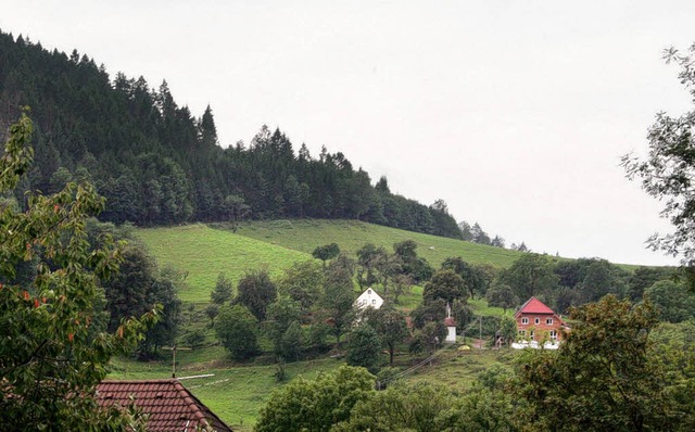 Landschaftsbild contra Lebensqualitt:...t in mhseliger Arbeit offengehalten.   | Foto: Karin Heiss