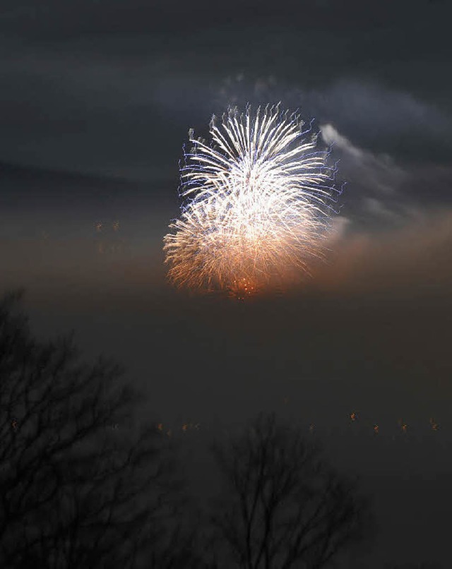 Das Basler  Feuerwerk 09/10 vom Tllinger aus gesehen.    | Foto: Andr Roos