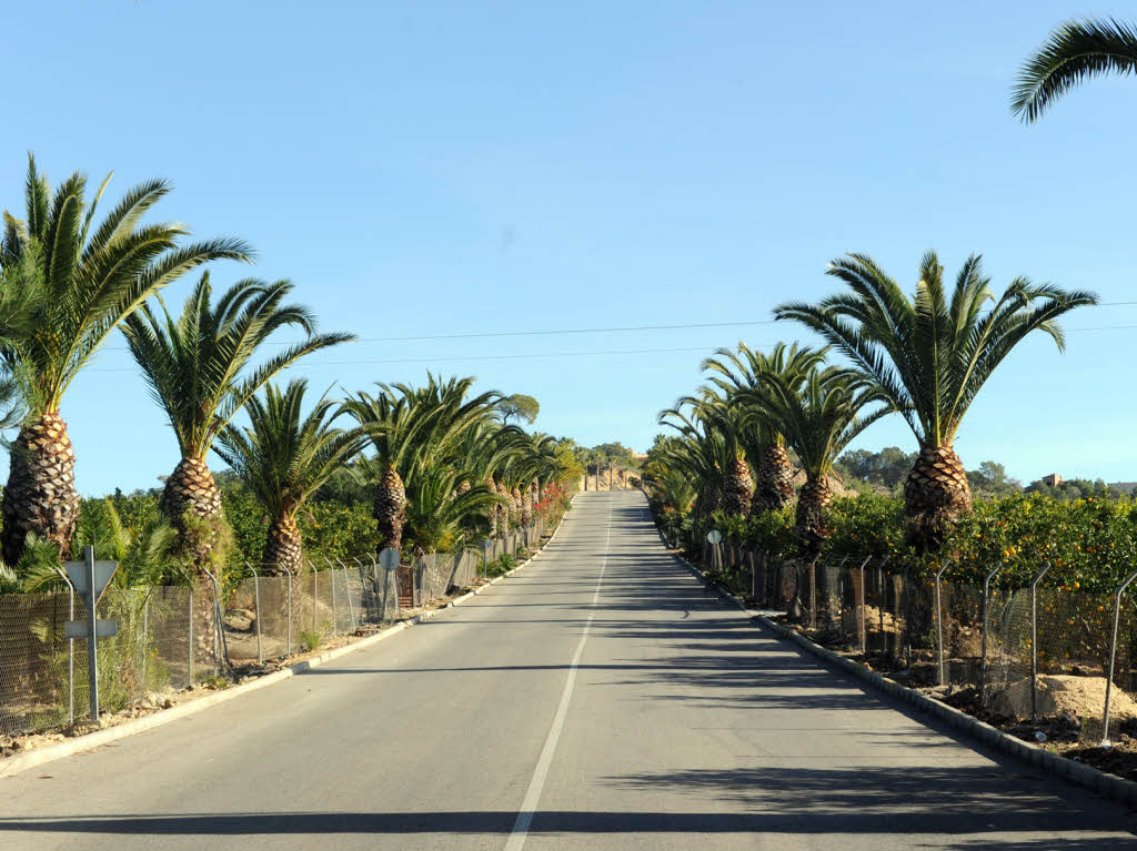 Die spanische Variante der Allee.