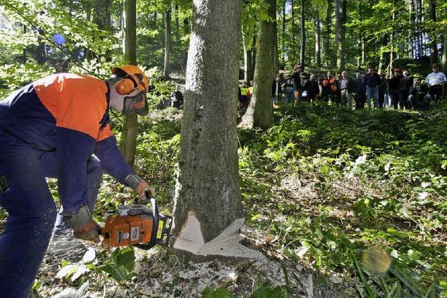 Der Wald bleibt Zuschussgeschft