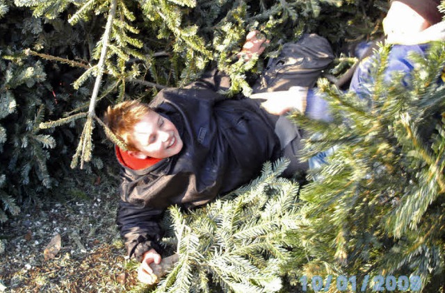 Der CVJM sammelt wieder Weihnachtsbume ein.   | Foto: Privat