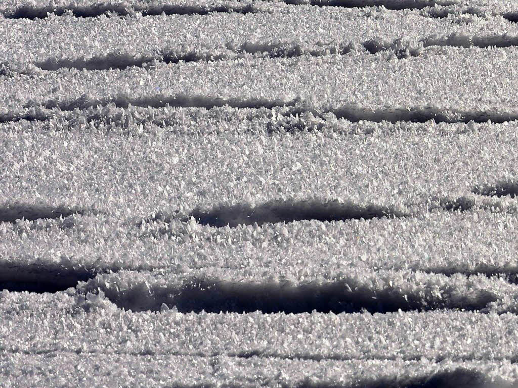 Freiburger und Sdbadener genieen die schnen Seiten des Winters auf dem Schauinsland.