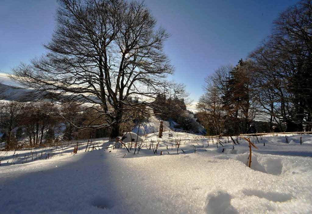 Freiburger und Sdbadener genieen die schnen Seiten des Winters auf dem Schauinsland.