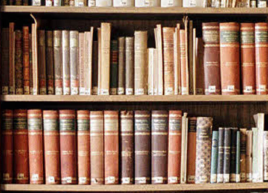 Bibliothek mit Bestsellern Steinen Badische Zeitung
