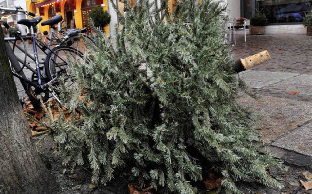 Vorsicht Weihnachtsbume! Bis zur Abho... an den Straenrndern Stolpergefahr.   | Foto: dpa