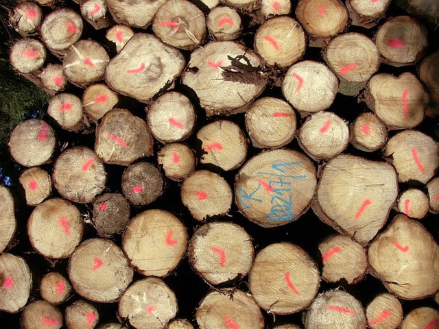 Der nachwachsende Rohstoff Holz soll d...ttes Plus in die Gemeindekasse splen.  | Foto: noe